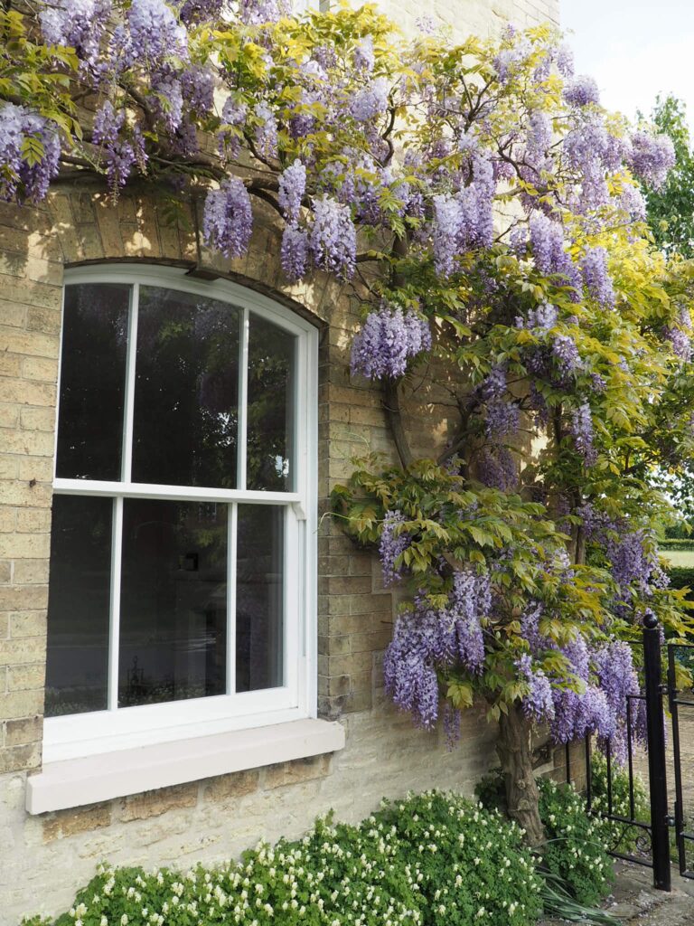 Sliding Sash windows