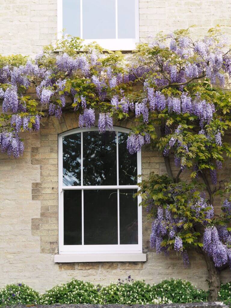 double glazed sash windows brackenwood