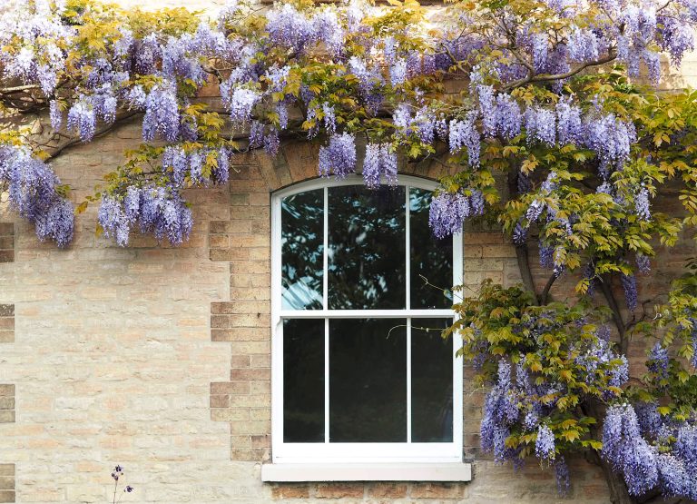 Double Glazing Windows Brackenwood Windows Sliding Sash Window Surrounded By Wisteria